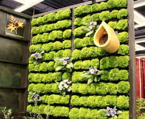 植物創(chuàng)新創(chuàng)業(yè)項(xiàng)目