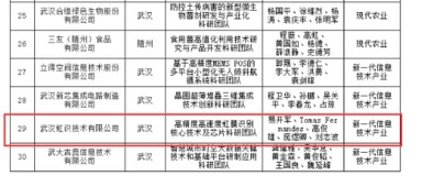 湖北,團(tuán)隊,戰(zhàn)略,創(chuàng)新