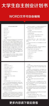 大學(xué)生自主創(chuàng)新創(chuàng)業(yè)計(jì)劃書