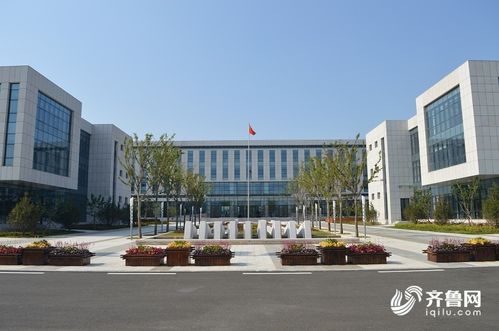 滕州跨境電商創(chuàng)業(yè)創(chuàng)新園地址,滕州跨境電商產(chǎn)業(yè)園,臨沂跨境電商創(chuàng)業(yè)園