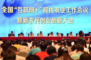 創(chuàng)新,創(chuàng)業(yè),農(nóng)業(yè)