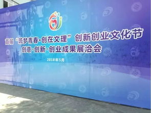 創(chuàng)新創(chuàng)業(yè)文化節(jié)方案