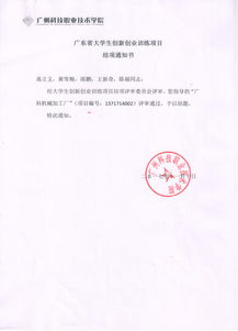 創(chuàng)新,創(chuàng)業(yè),項目,結(jié)項書