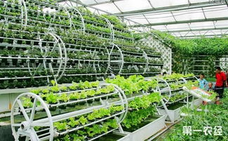 瓶頸,創(chuàng)新,創(chuàng)業(yè),農業(yè)