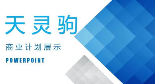 輔導(dǎo)班,商業(yè)計(jì)劃書,創(chuàng)新,創(chuàng)業(yè)