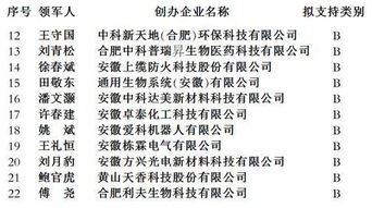 創(chuàng)業(yè)項(xiàng)目管理模式怎么寫(xiě),創(chuàng)新創(chuàng)業(yè)項(xiàng)目管理模式,大學(xué)生創(chuàng)新創(chuàng)業(yè)項(xiàng)目管理