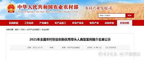 帶頭人,事跡,農村,優(yōu)秀