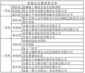 創(chuàng)新創(chuàng)業(yè)大賽結(jié)項表