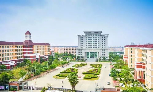 大連海洋大學(xué)創(chuàng)新創(chuàng)業(yè)學(xué)院官網(wǎng),大連民族大學(xué)創(chuàng)新創(chuàng)業(yè)學(xué)院官網(wǎng),大連民族大學(xué)創(chuàng)新創(chuàng)業(yè)學(xué)院