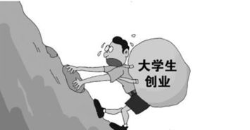 創(chuàng)業(yè)項(xiàng)目,原因,創(chuàng)新,選擇