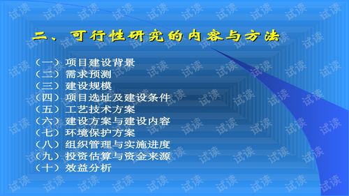 創(chuàng)業(yè)項目,可行性分析,創(chuàng)新,大學生