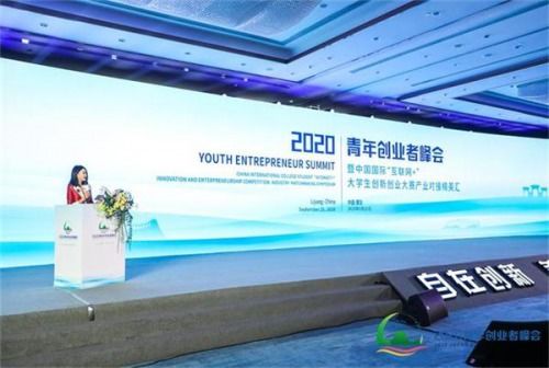 2020大學(xué)生創(chuàng)新創(chuàng)業(yè)計劃書