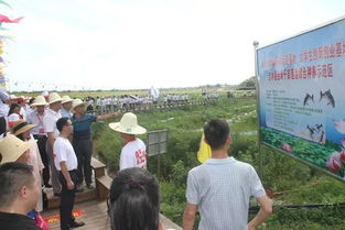 南昌大學(xué)創(chuàng)新創(chuàng)業(yè)課程怎么搶