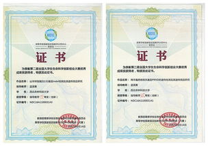 臨沂,證書,創(chuàng)新,創(chuàng)業(yè)