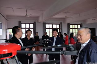 意義,創(chuàng)新,創(chuàng)業(yè),大學生