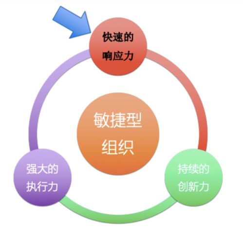 分工,團隊,創(chuàng)新,創(chuàng)業(yè)