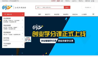 怎么修改大學(xué)生創(chuàng)新創(chuàng)業(yè)項(xiàng)目