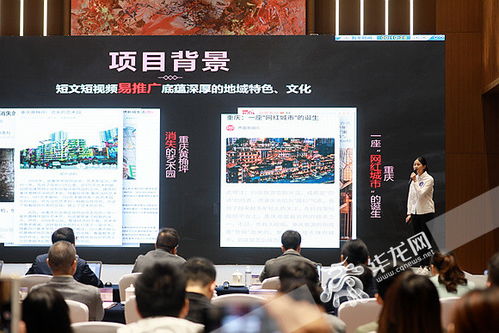 DIY大學(xué)生創(chuàng)新創(chuàng)業(yè)項(xiàng)目