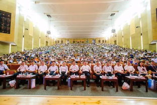 大學生創(chuàng)新創(chuàng)業(yè)蛋糕