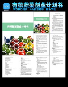 蔬菜批發(fā)創(chuàng)新創(chuàng)業(yè)計(jì)劃書