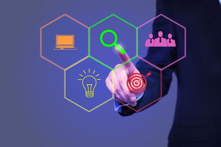 園區(qū),關系,創(chuàng)新,創(chuàng)業(yè)