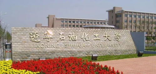 遼寧,石油,化工大學(xué),創(chuàng)新