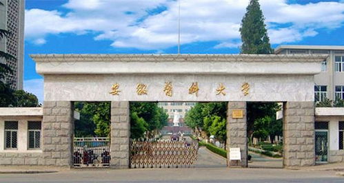 創(chuàng)新創(chuàng)業(yè)學院安徽醫(yī)科大學