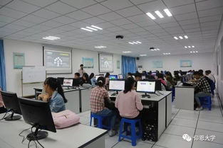 大學(xué)生在創(chuàng)新創(chuàng)業(yè)創(chuàng)優(yōu)