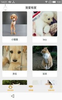 創(chuàng)新創(chuàng)業(yè)流浪動(dòng)物