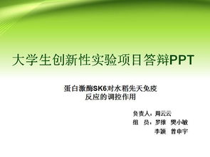 大學生創(chuàng)業(yè)創(chuàng)新實驗答辯ppt