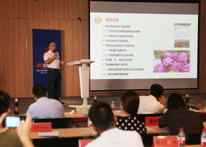 工程設(shè)計(jì),鄭州大學(xué),實(shí)踐,創(chuàng)新