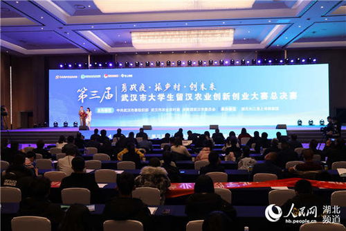 計劃書,創(chuàng)新,創(chuàng)業(yè),大學(xué)生