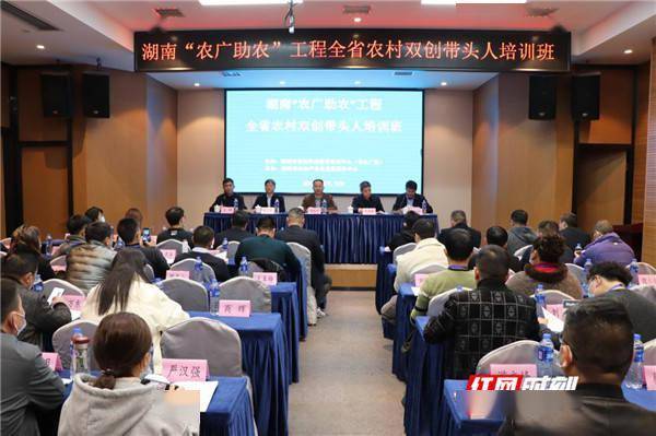 帶頭,農(nóng)村,創(chuàng)新,創(chuàng)業(yè)