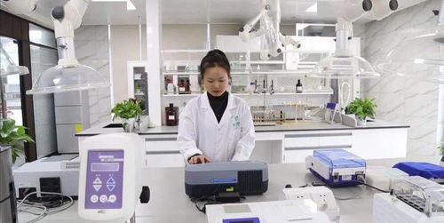 活躍度,落實(shí)情況,創(chuàng)新,創(chuàng)業(yè)