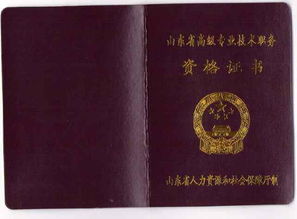 創(chuàng)新,教師,創(chuàng)業(yè),評(píng)職稱