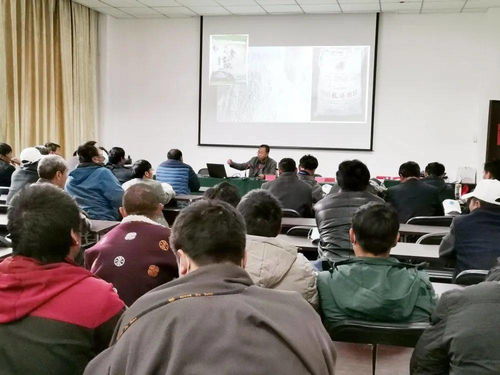 帶頭人,培育,農村,創(chuàng)新