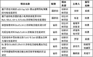 大學(xué)生創(chuàng)新創(chuàng)業(yè)立項申請表