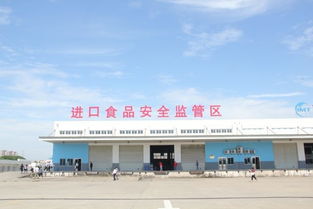 保稅區(qū),創(chuàng)新,創(chuàng)業(yè),發(fā)展