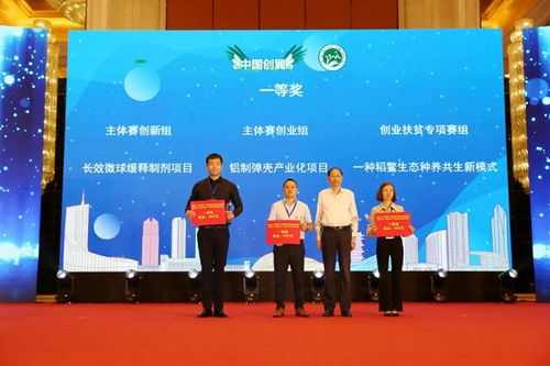 周口,第四屆,大賽,創(chuàng)新