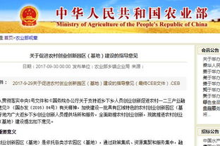 創(chuàng)新帶動創(chuàng)業(yè)成功案例,以創(chuàng)新帶動創(chuàng)業(yè)論文,創(chuàng)新推動創(chuàng)業(yè),創(chuàng)業(yè)帶動就業(yè)