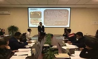 創(chuàng)業(yè)項目,負責人,創(chuàng)新