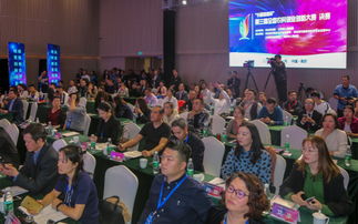 半決賽,大賽,農(nóng)村,創(chuàng)新