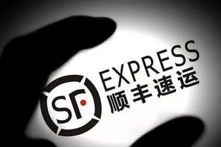 順豐創(chuàng)業(yè)創(chuàng)新獎的評價