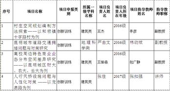 創(chuàng)新創(chuàng)業(yè)項目級別怎么填寫,大學生創(chuàng)新創(chuàng)業(yè)項目計劃書,互聯(lián)網(wǎng)+大學生創(chuàng)新創(chuàng)業(yè)項目