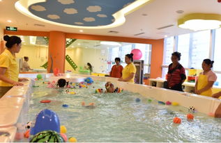 幼兒游泳館的創(chuàng)新創(chuàng)業(yè)
