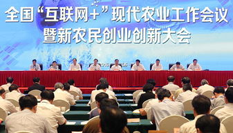 農(nóng)業(yè)創(chuàng)業(yè)創(chuàng)新工作匯報(bào)