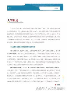 大四創(chuàng)新創(chuàng)業(yè)實踐報告