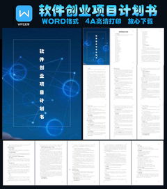 計(jì)劃書,開發(fā)軟件,創(chuàng)新,創(chuàng)業(yè)