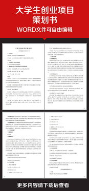 計算機專業(yè),策劃書,創(chuàng)新,創(chuàng)業(yè)