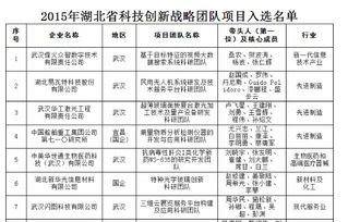 湖北省創(chuàng)新創(chuàng)業(yè)戰(zhàn)略團(tuán)隊,創(chuàng)新創(chuàng)業(yè)公司戰(zhàn)略,創(chuàng)新創(chuàng)業(yè)與戰(zhàn)略管理